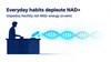 5 Habits That Quietly Drain Your NAD+ (and How to Help It)