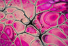 Every Cell in Your Body Runs Better With This. Are You Taking It?