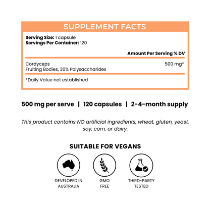 Cordyceps 500mg 120 Capsules (4-month supply)